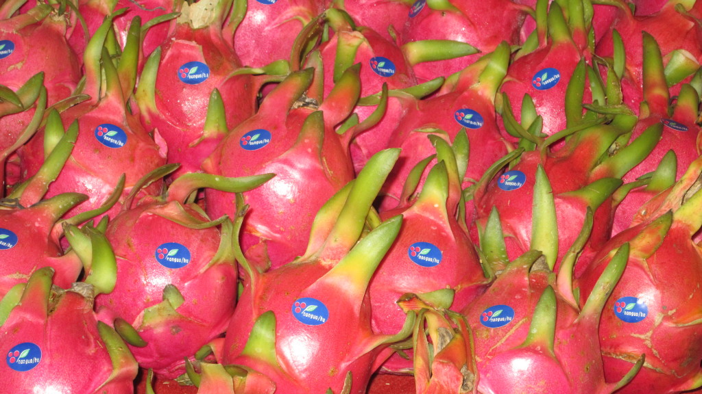 Dragon Fruit--the flesh inside is white with small black seeds